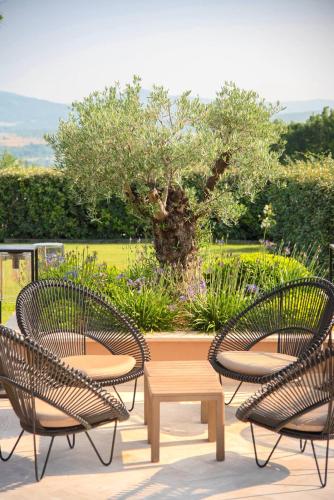 Příroda nedaleko hotelu