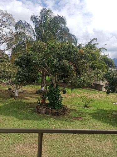a view of a park with a tree in the grass at Palms Stars III in Chinauta