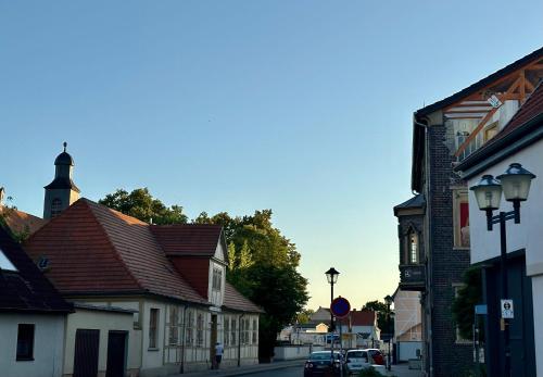 a street in a town with buildings and cars at VillaKrocker - ElbeRadweg trifft WandKunstwerk in Burg bei Magdeburg