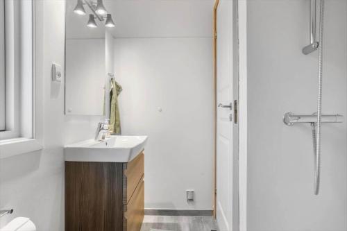 a bathroom with a sink and a shower at 1111-Stege-Ulvshalevej-111 in Stege