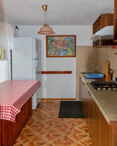 a kitchen with a white refrigerator and a counter top at Pensiunea Nordica in Statiunea Borsa