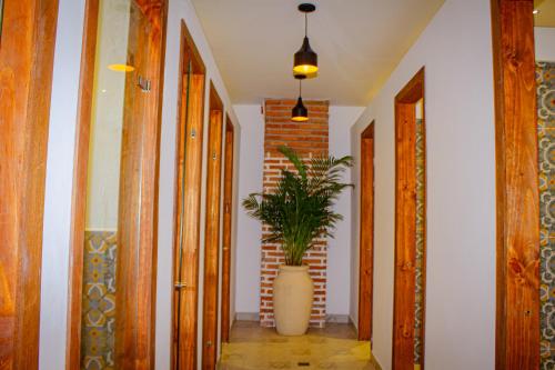 a hallway with a plant in a large vase at Masaya Cartagena in Cartagena de Indias
