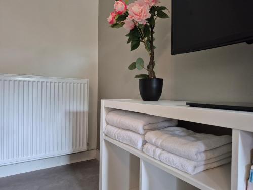 Fotografie z fotogalerie ubytování Dalerheugte Comfort B&B v destinaci Dalerveen