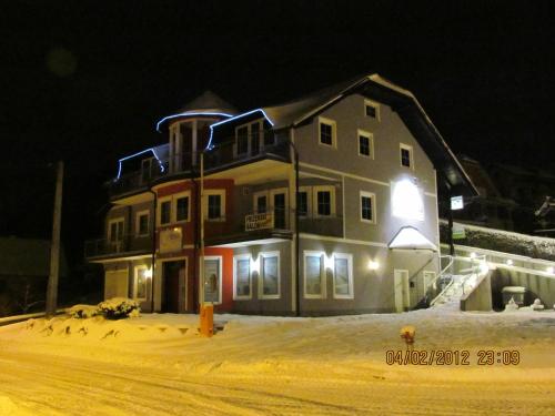 a building with birds standing in the snow at night at Črni Baron Pension Black Baron in Maribor