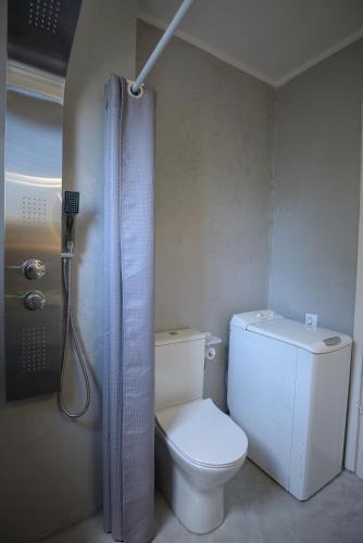 a small bathroom with a toilet and a shower at DM Apartment 2 - Only 4' from Rafina Port & 2' from the beach in Rafina