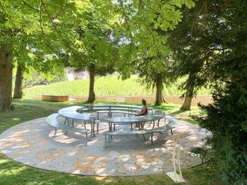 a group of picnic tables in a park with trees at Maison Blanc de blanc - Guest Room in a Family Home in Le Mesnil-sur-Oger