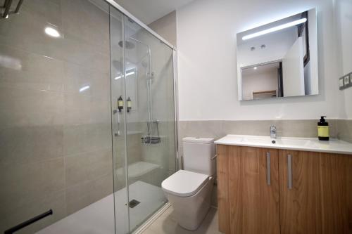 a bathroom with a shower and a toilet and a sink at Dobo Azacanes Hostal in Toledo