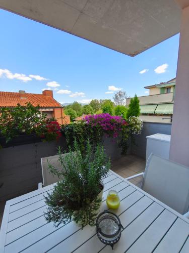 a white table with a plant on a balcony at Casa degli Aromi in Lucca