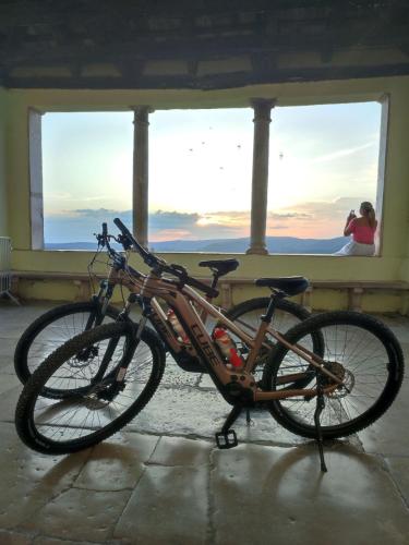 a bike parked in front of a window at Villa Borgo B&B in Motovun