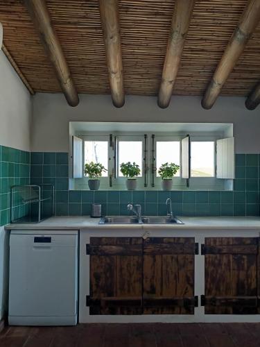 a kitchen with a sink and two windows with potted plants at Monte Costa Raiz in Mértola