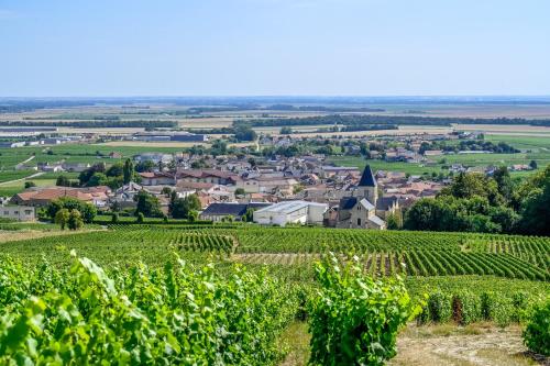 a view of a small town from a vineyard at Maison Blanc de blanc - Guest Room in a Family Home in Le Mesnil-sur-Oger