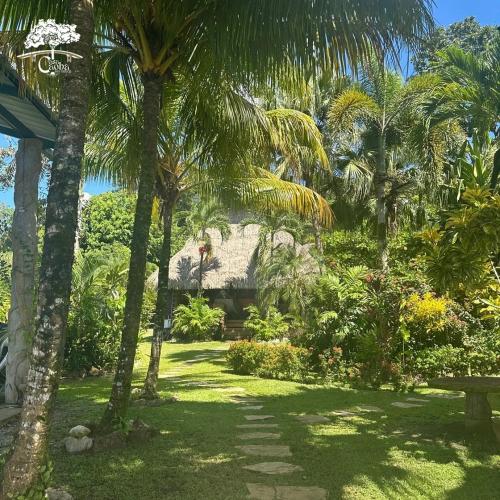 a garden with palm trees and a house at Perfect place to go with family and friends in Rio Dulce