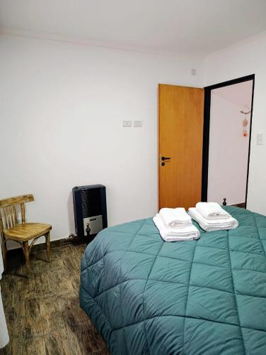 a bedroom with a green bed with a wooden door at Cruz del Sur in Santa Rosa