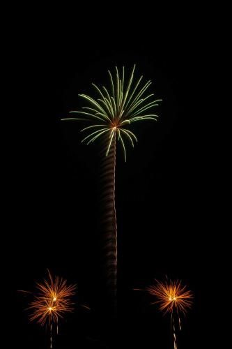 a palm tree lit up at night with sparklers at l'echo des vagues ,face mer, vue imprenable, appartement pour 2 à 4 personnes in Le Portel