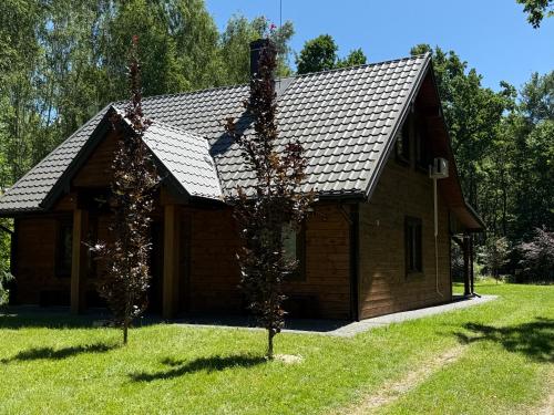 Z duszą i parą, dom z ogrodem i sauną na wyłączność, obok Poleskiego Parku Narodowego
