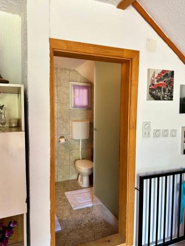 a bathroom with a toilet and a door open at Studio Palma in Zvornik