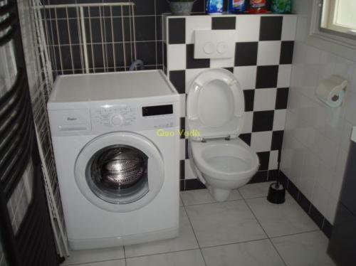 a bathroom with a washing machine and a toilet at Quo Vadis vakantiehuis Lengel in Lengel