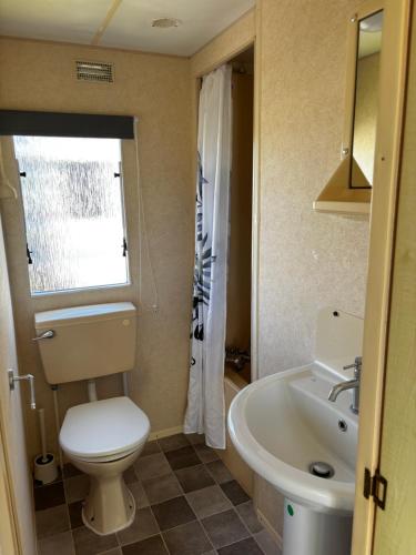 a bathroom with a toilet and a sink at Northfield Holiday Park in Borth