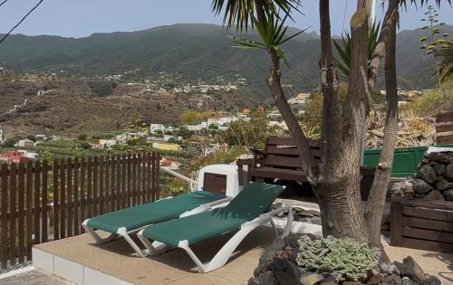 Un par de tumbonas en un patio con un árbol. en El Sueño Del Angel, en Santa Cruz de la Palma