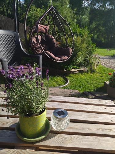 Zahrada ubytování Apartament Gaya