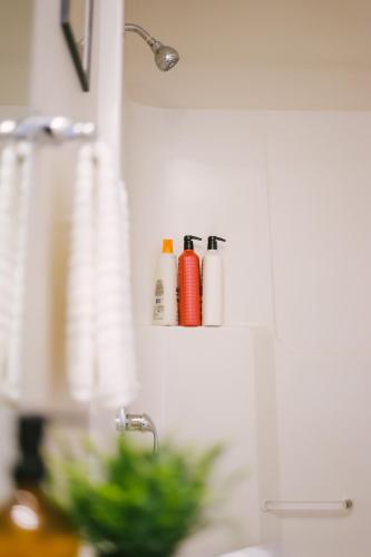 a kitchen sink with two shampoo bottles on a wall at Cozy & Stylish Laneway suite in Regina