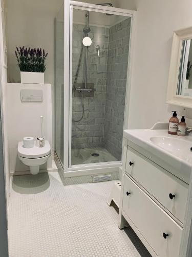 une salle de bain avec une douche, des toilettes et un lavabo dans l'établissement Appartement Nice Chic Centre Libération, à Nice