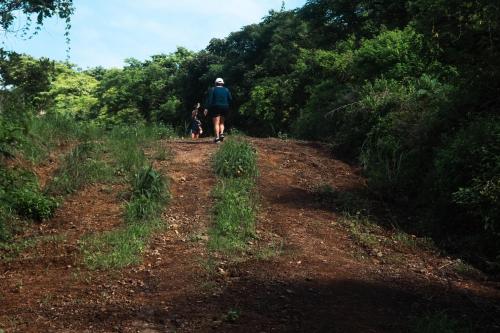 a man and a dog walking down a dirt trail at Rusteak Living Retreat in natural and peaceful setting in Canafistula in Cañafístula