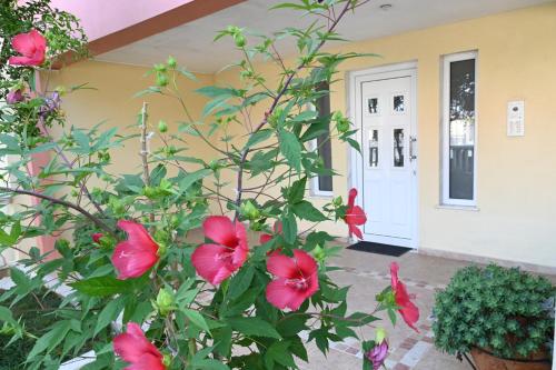 a plant with red flowers in front of a house at Garden Bliss Alexandroupolis in Alexandroupoli