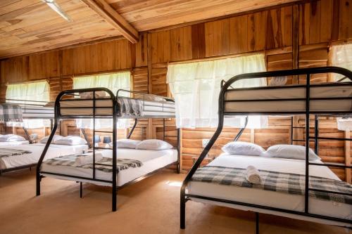 three bunk beds in a room with wooden walls at Rusteak Living Retreat in natural and peaceful setting in Canafistula in Cañafístula