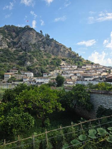 a village on top of a mountain at MEROLI Guesthouse - UNESCO quarter in Berat
