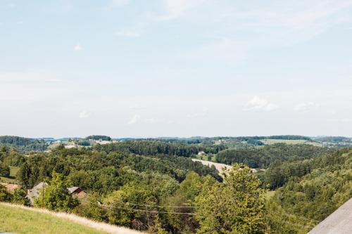 a view from the top of a hill with trees at Das Decker in Paldau