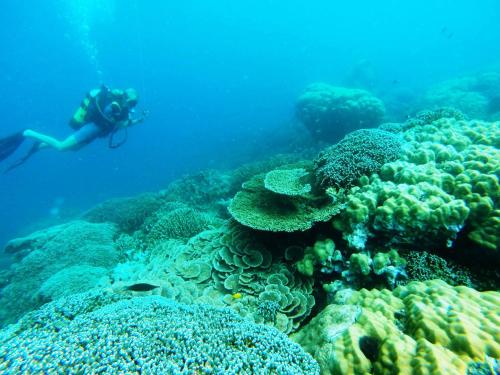 Tetamu yang menginap di Fumba Beach Lodge
