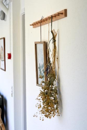 a plant hanging on a wall with a picture at Hotel Saxkjøbing in Sakskøbing