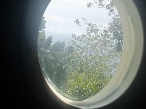 a round window with a view of a tree at Studio à deux pas de Monaco in Roquebrune-Cap-Martin