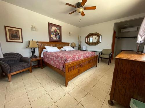 a bedroom with a bed and a ceiling fan at Hospedaje Mulege in Puerto Peñasco