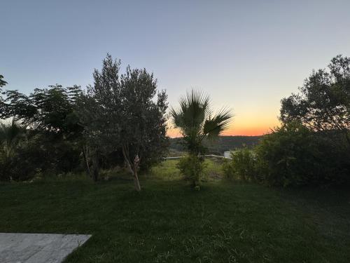 a field with trees and a sunset in the background at Hilltop Villa in Shetaj