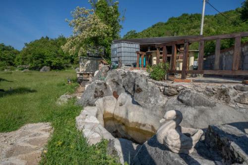 Příroda nedaleko kempu