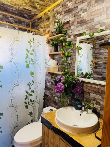 a bathroom with a sink and a toilet and plants at Cabaña By Casur in Panguipulli