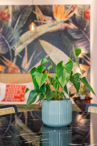 a green plant in a blue vase on a table at SMERALDO ACQUAMARINA Waterfront in Roseto degli Abruzzi