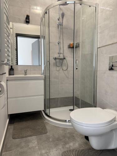 a bathroom with a shower and a toilet and a sink at Dębowy Dwór, Wędkowanie, Stawy, Agroturystyka in Łagiewniki
