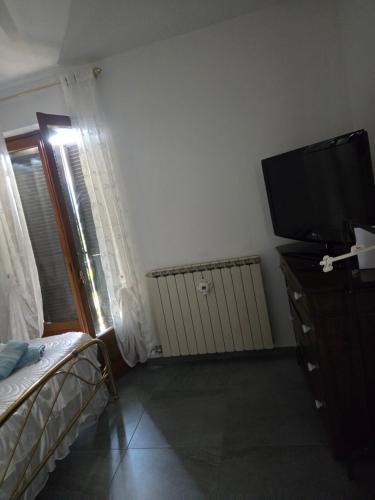 a bedroom with a tv and a bed in a room at CASA REGINA in Crevoladossola