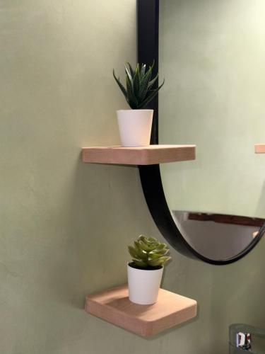 two potted plants sitting on wooden shelves on a wall at Vigliata Sidirounta Traditional Stonehouse in Chios