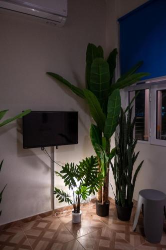 a room with potted plants and a flat screen tv at TSABAS BEACH SIDE APARTMENTS ΤΣΑΜΠΑΣ παραλιακά διαμερίσματα 1 in Kyllini