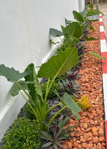 a garden with plants and rocks next to a wall at La brise Marine in Lomé