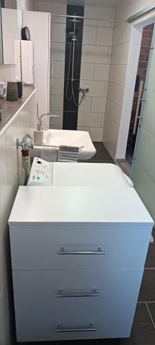 a bathroom with a sink and a white cabinet at FeWo Giehl in Burgebrach