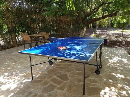 a blue ping pong table sitting on a patio at Magnolia Apartments in Fiskardho