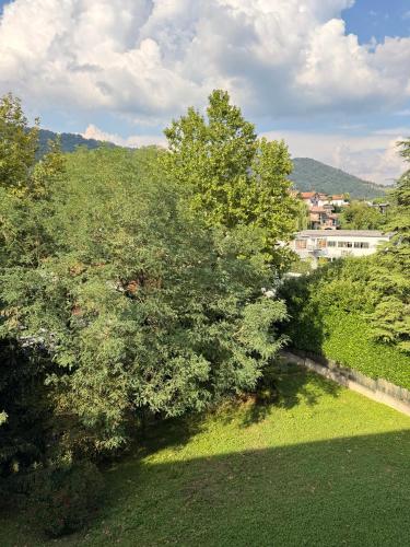 an overhead view of a tree in a yard at Helena home in Torre De' Roveri