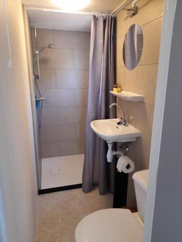 a bathroom with a sink and a shower and a toilet at Chalet B2 in Westergeest