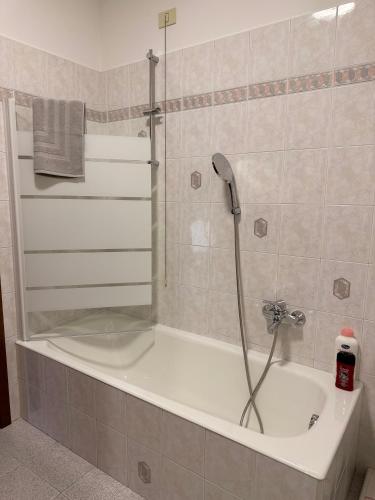 a bath tub with a shower in a bathroom at Helena home in Torre De' Roveri