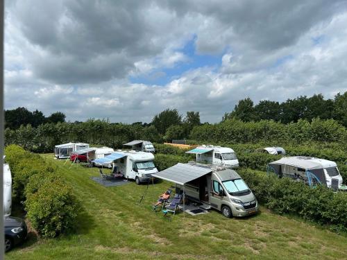 a group of camels parked in a field at Camping de Haarakker in Langeveen